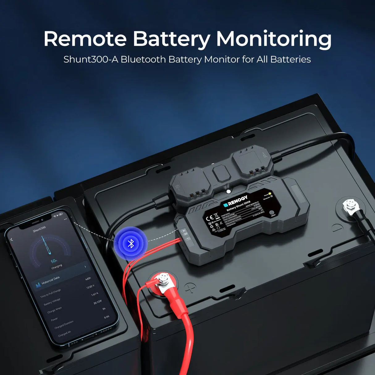 RENOGY Battery Shunt 300 Renogy