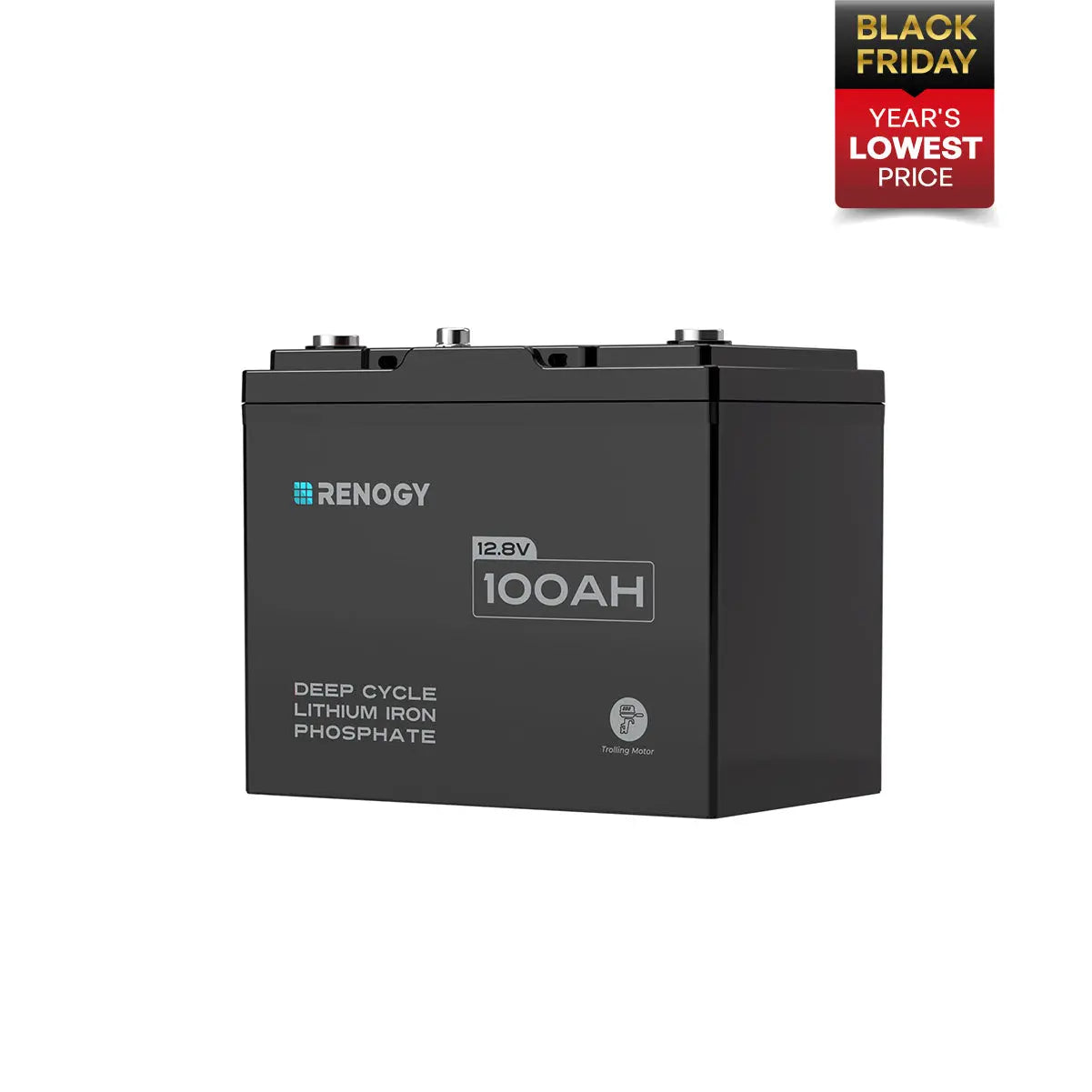 Core Mini - 12.8V 100Ah Lithium Iron Phosphate Battery Renogy