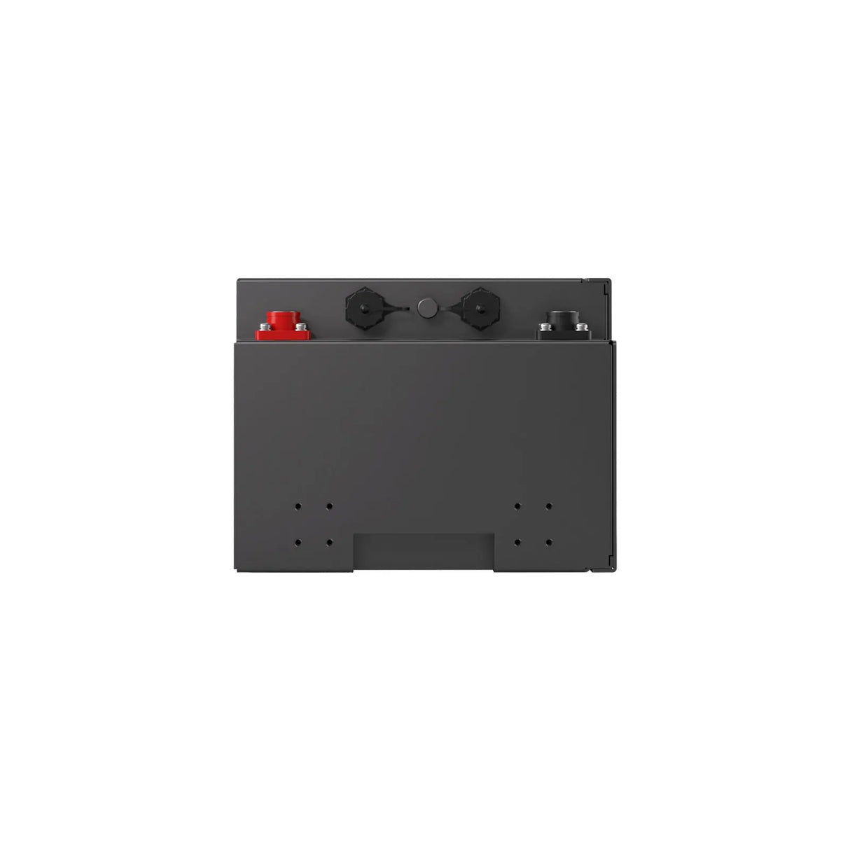 Pro S1 12V 120Ah / 240Ah LiFePO4 Battery Renogy