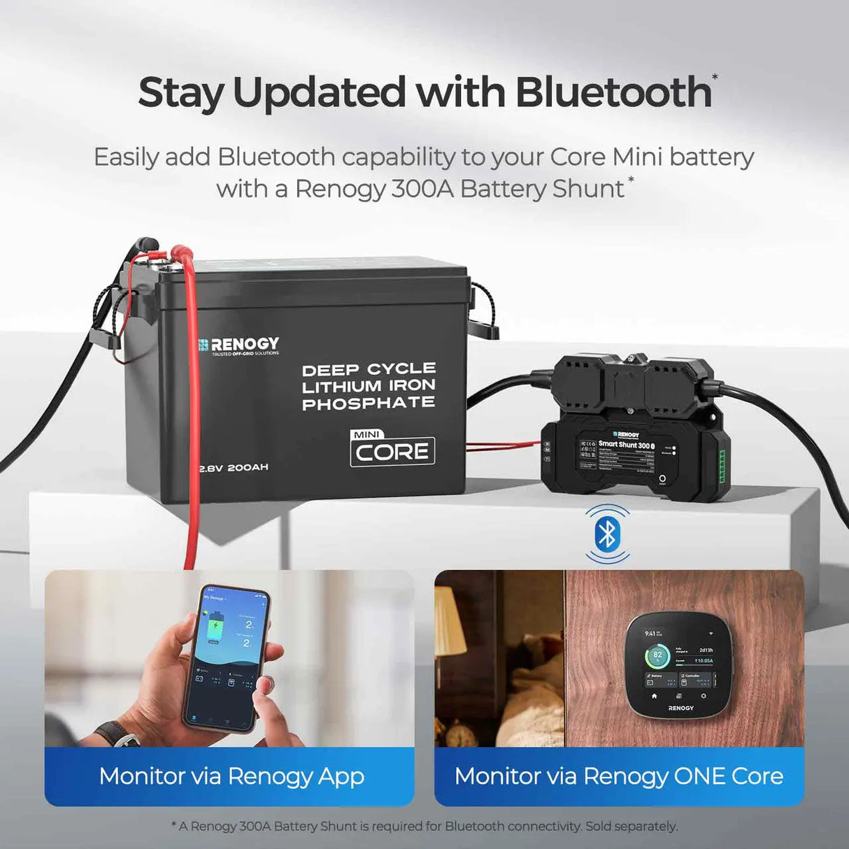 Core - 12V 200Ah LiFePO4 Battery w/ Low-Temperature Protection Renogy