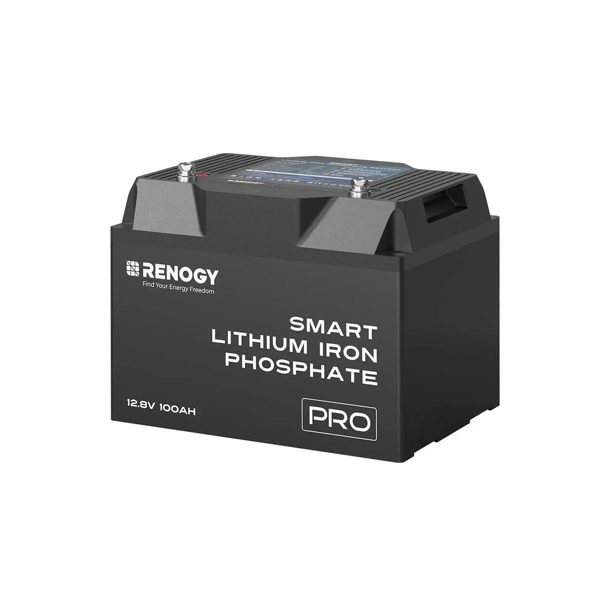 Pro - 12V 100Ah/200Ah Smart LiFePO4 Battery w/ Bluetooth & Self-Heating Renogy