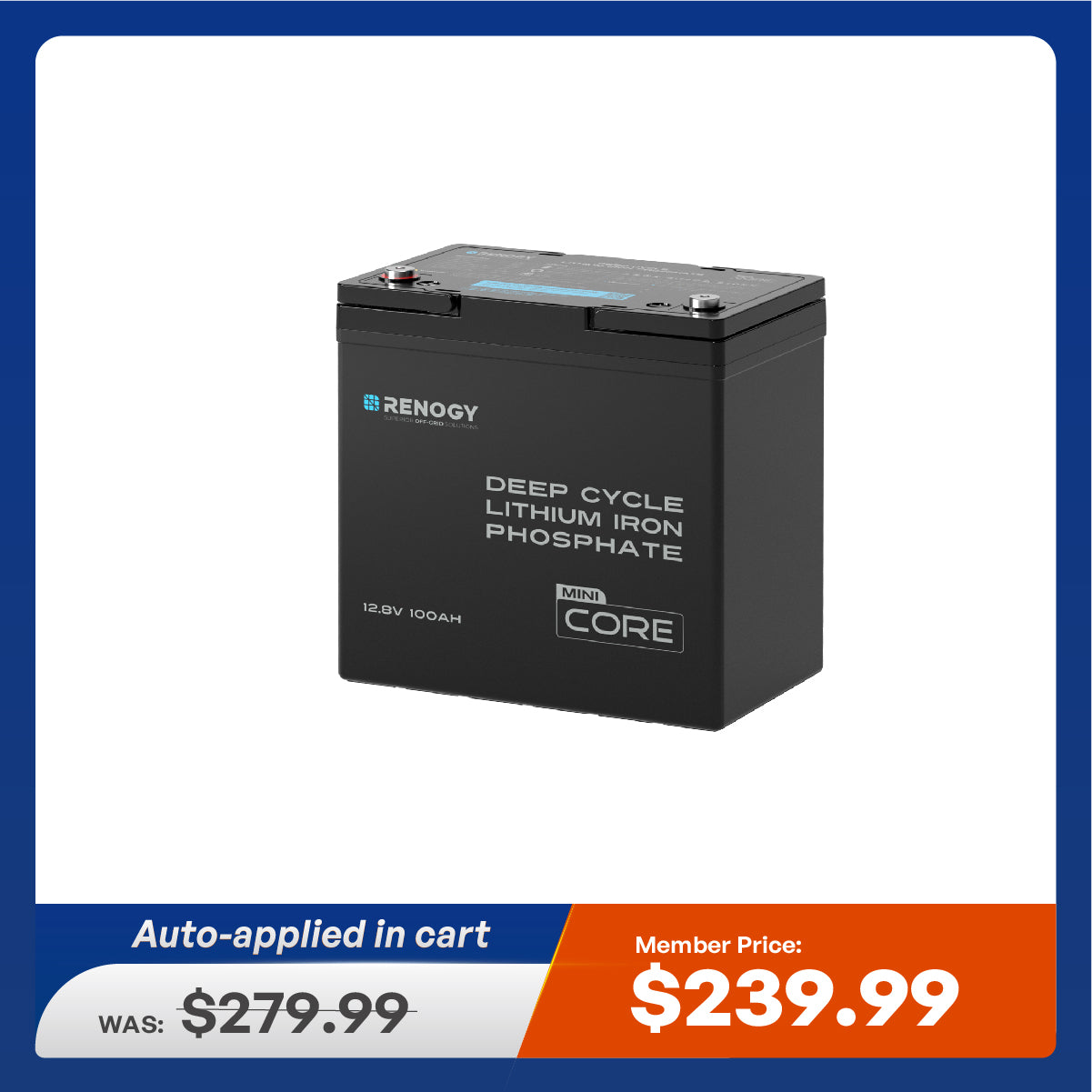 Mini Size 12.8V 100Ah Lithium Iron Phosphate Battery