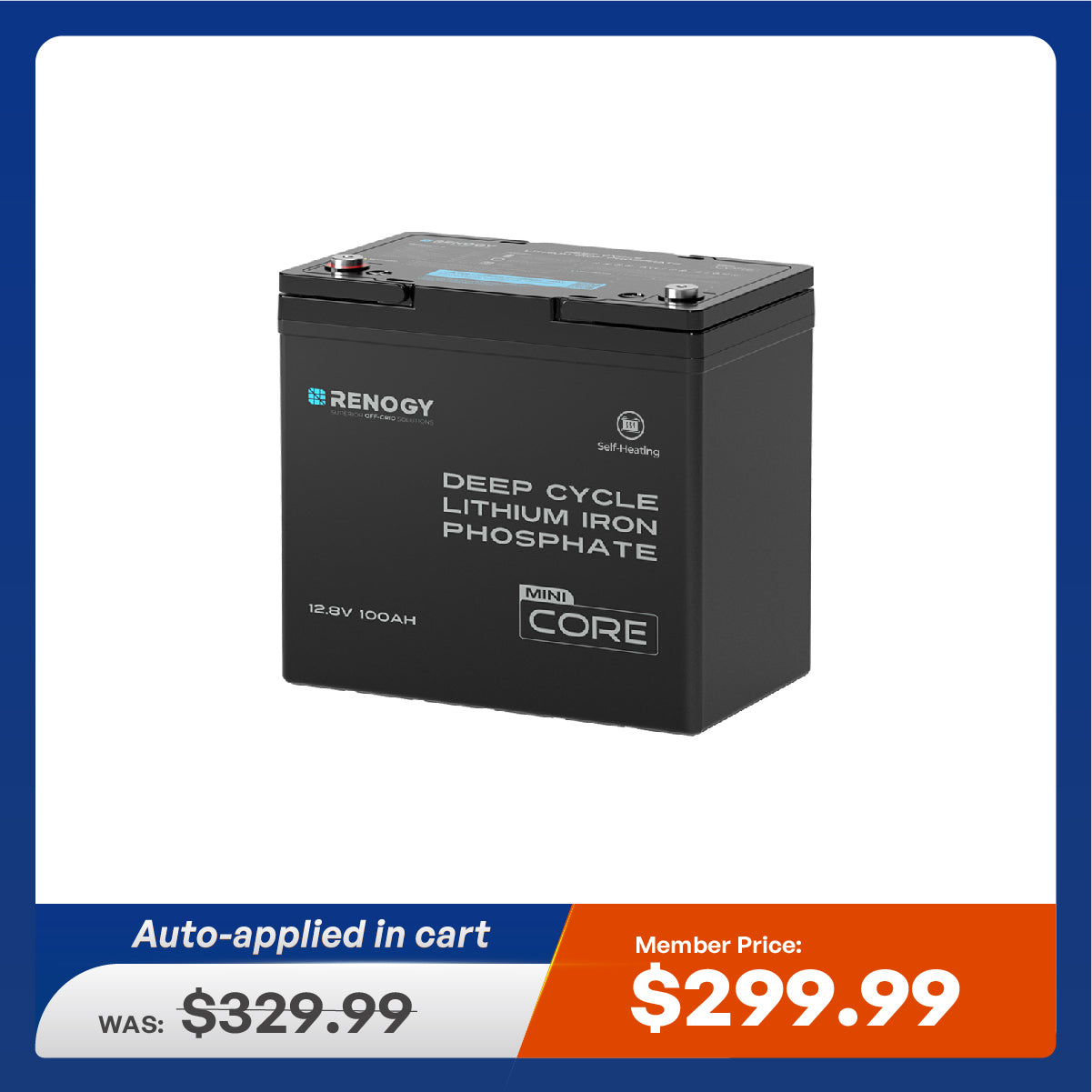 Mini Size 12.8V 100Ah Lithium Iron Phosphate Battery