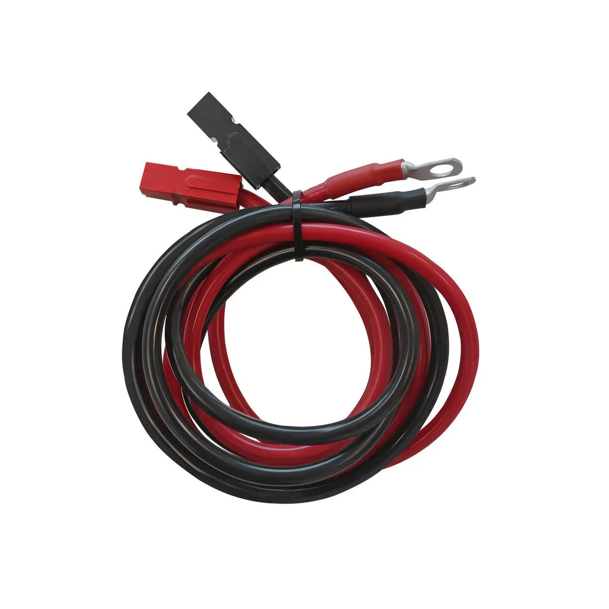 Renogy 10FT 6AWG Anderson Adapter Cable(Anderson PP75 - 3/8 in Lugs) Renogy