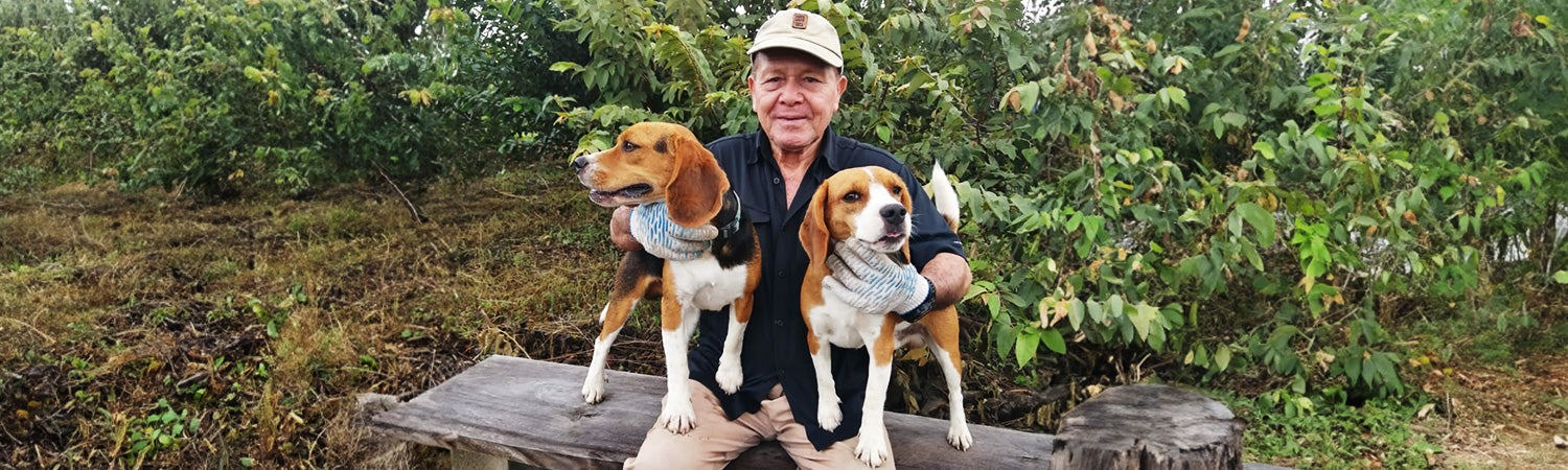 Unveiling EcoSardinal: A Journey of Sustainability and Solar Empowerment with Renogy