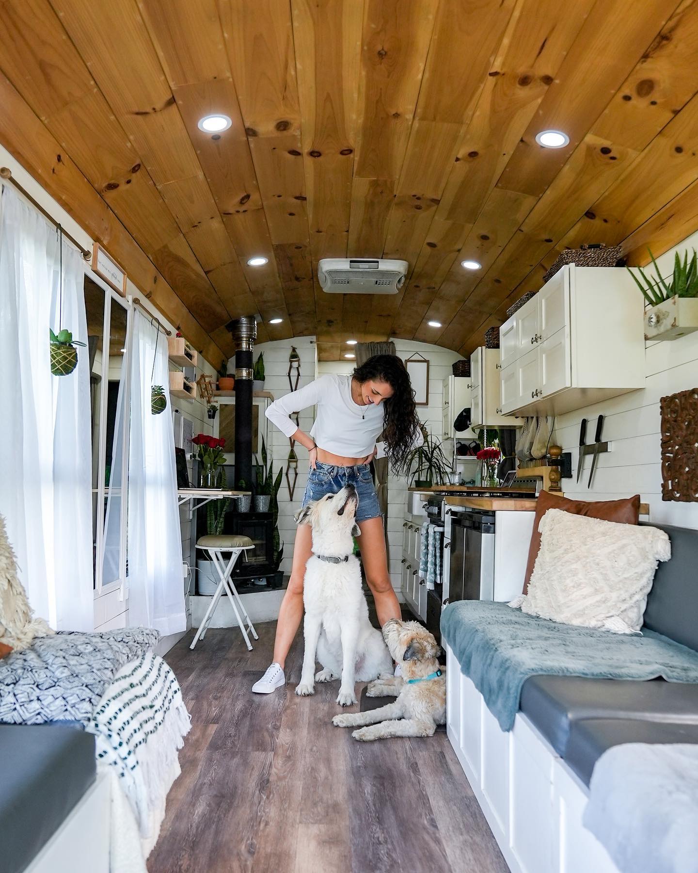 To love oneself is the beginning of a lifelong romance -- Francesca’s solo bus life with her 3 dogs