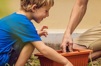 All-Encompassing Guide to Solar Battery Chargers