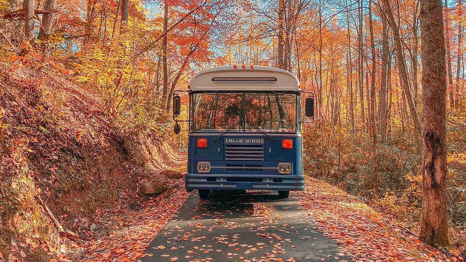 The Journey of Will Watson and His Family---Who chose a minimalist lifestyle filled with big adventures