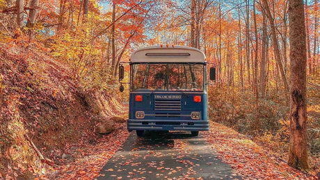 The Journey of Will Watson and His Family---Who chose a minimalist lifestyle filled with big adventures