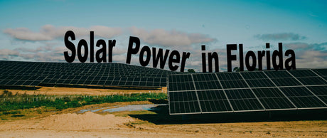 Florida Solar Panels: Cost & Savings In 2024