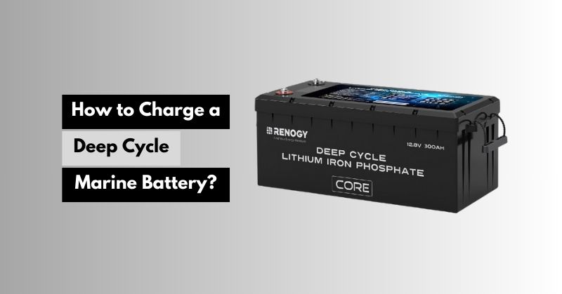 How to Charge a Deep Cycle Marine Battery?