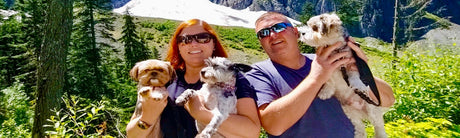 Jason and Amanda Are “Stranded ‘N’ Paradise: Our Journey to Off-Grid Adventure with Renogy and Finding Our Paradise Anywhere We Go