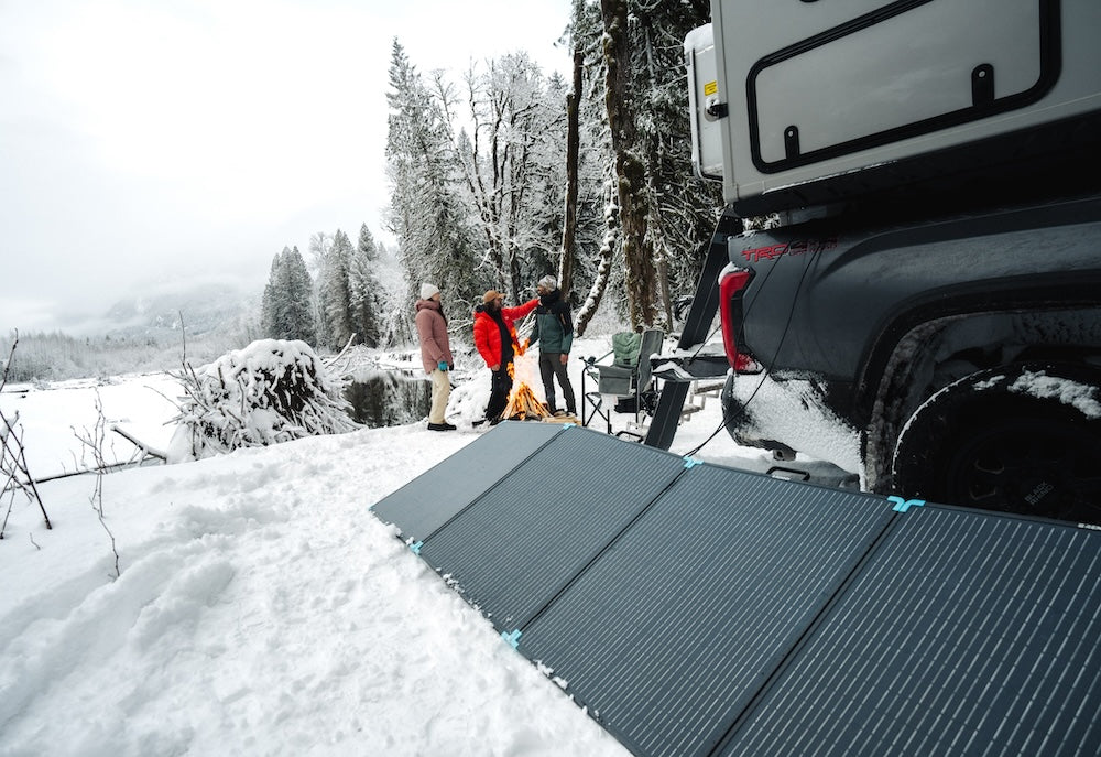 renogy expands dealer network