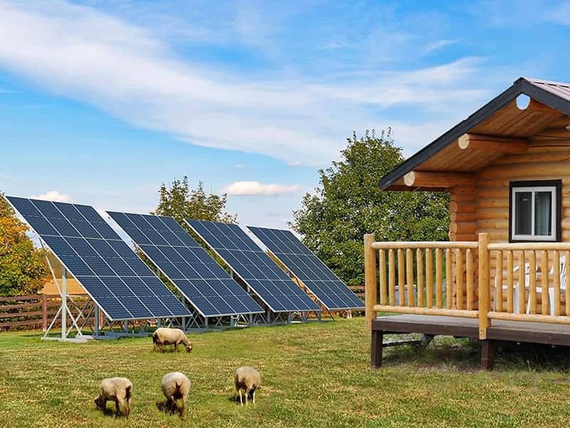 What is a Solar Panel: A Beginner's Guide to Solar