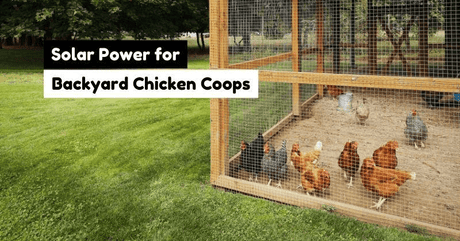 solar panels for chicken coop