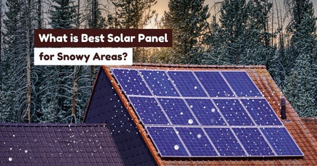 best solar panels for cold climates
