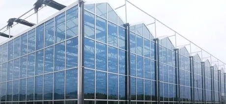 Invisible Power: How Transparent Solar Panels Are Revolutionizing Green Energy