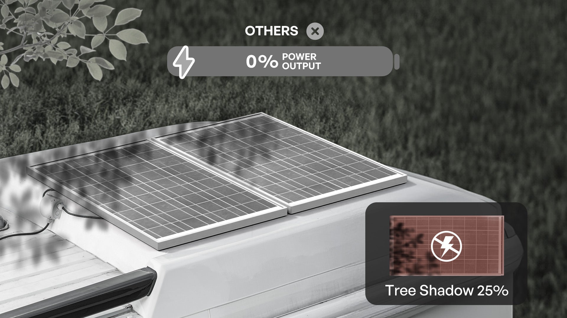 02-_-others.jpg?v=1760438788