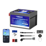 Golf Cart 48V 105Ah Lithium Iron Phosphate Battery Renogy