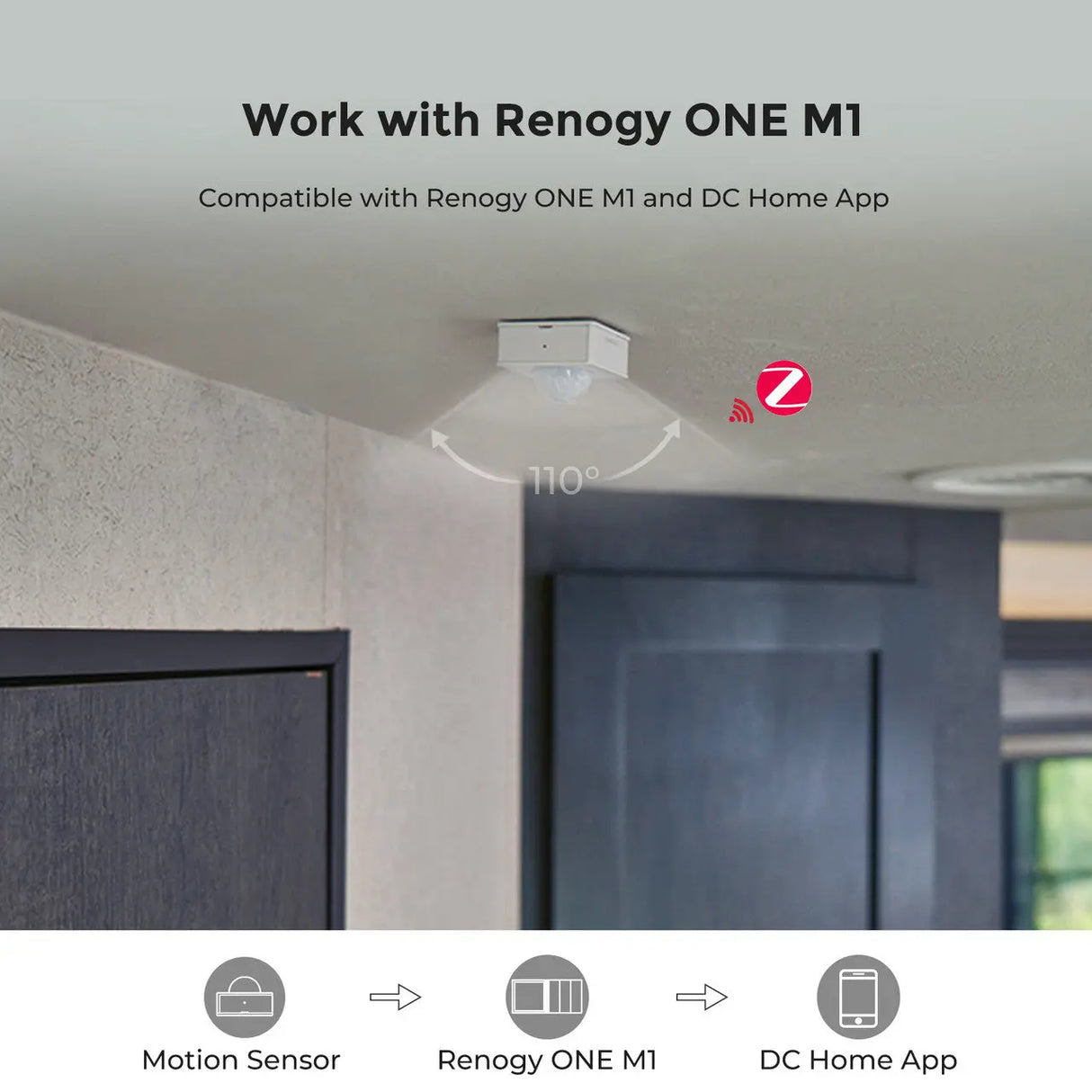 RENOGY Motion Sensor Renogy