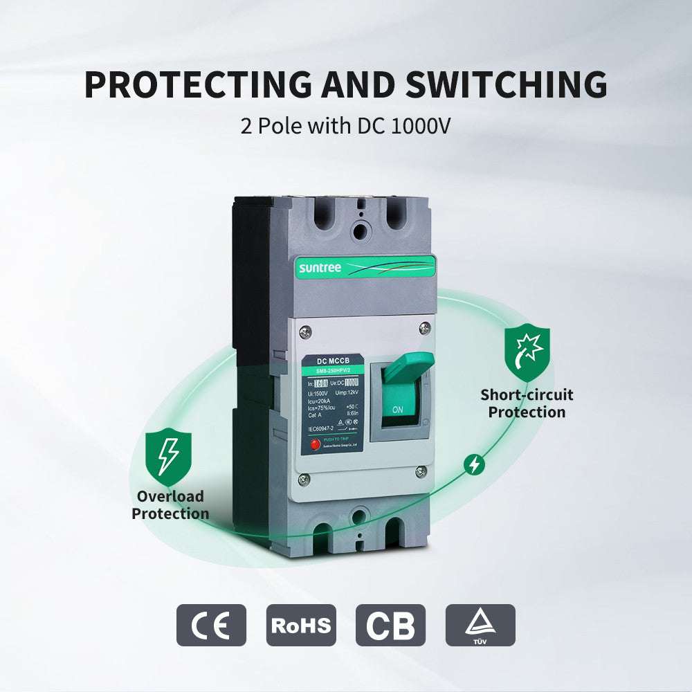 160A 2P DC Molded Case Circuit Breaker 