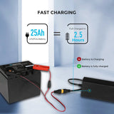 24V 10A AC-to-DC LFP Portable Battery Charger Renogy