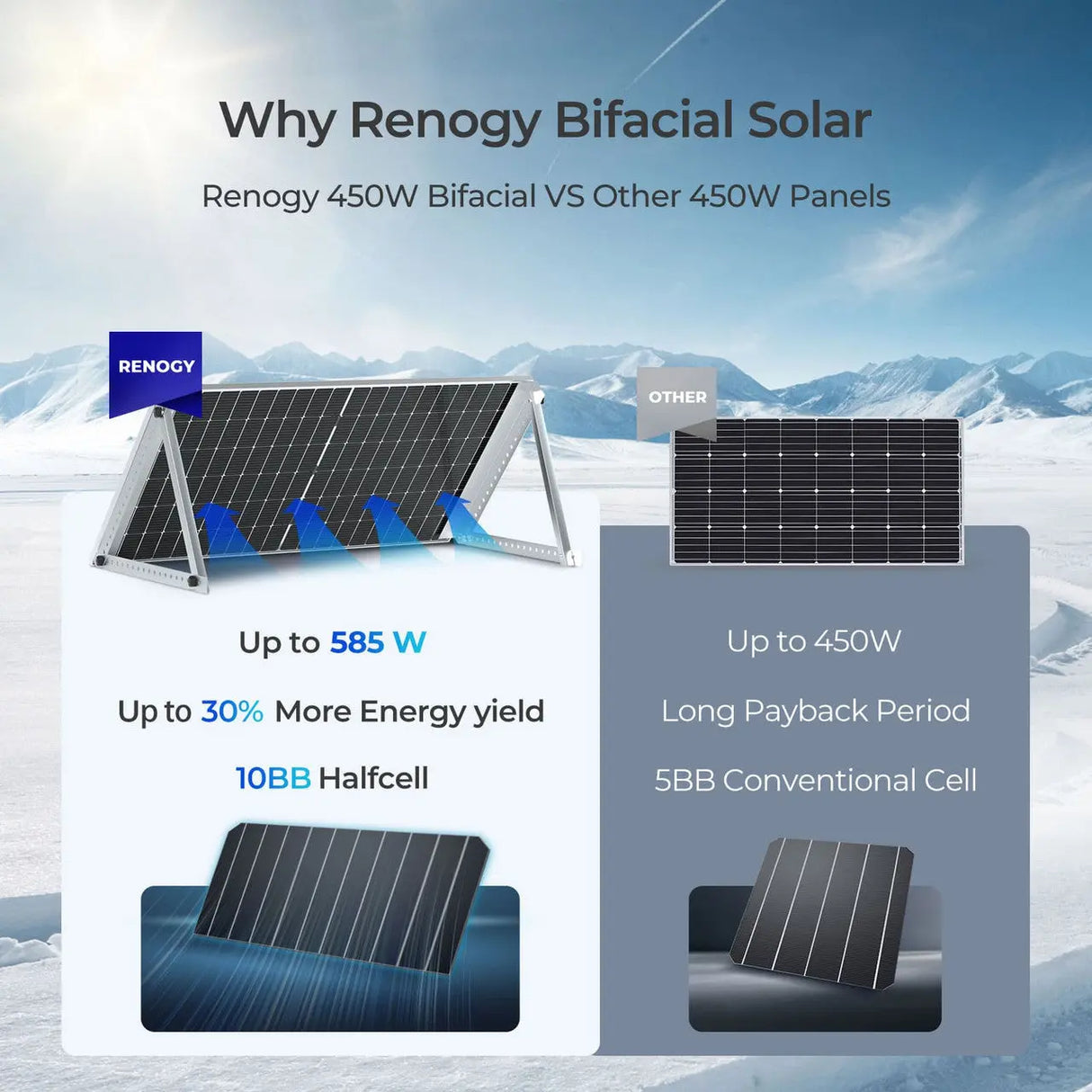 Bifacial 2PCS 450W Monocrystalline Solar Panel Renogy