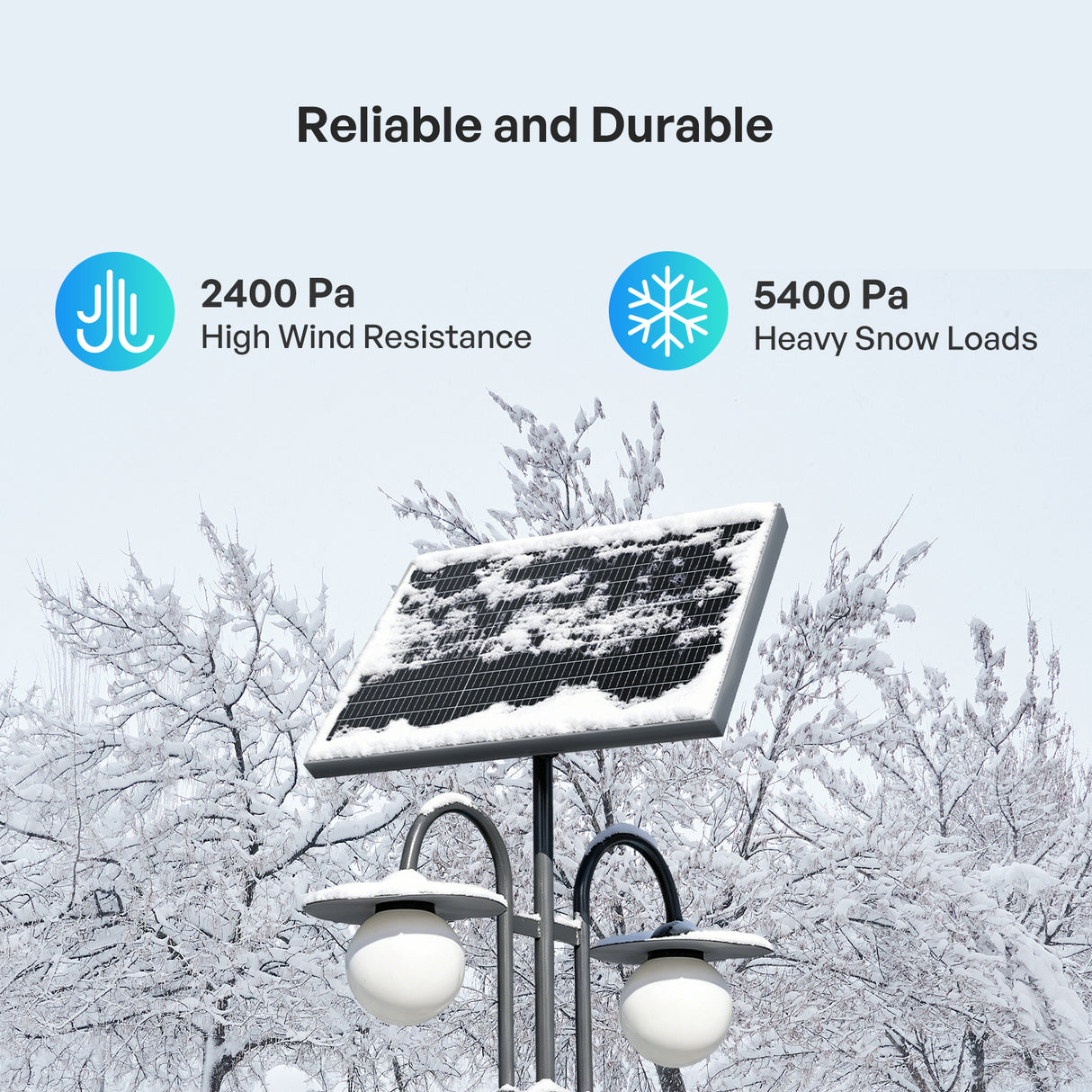 Renogy 50W Mono N-Type Rigid Solar Panel