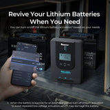 Rover Li 30 Amp MPPT Solar Charge Controller Renogy