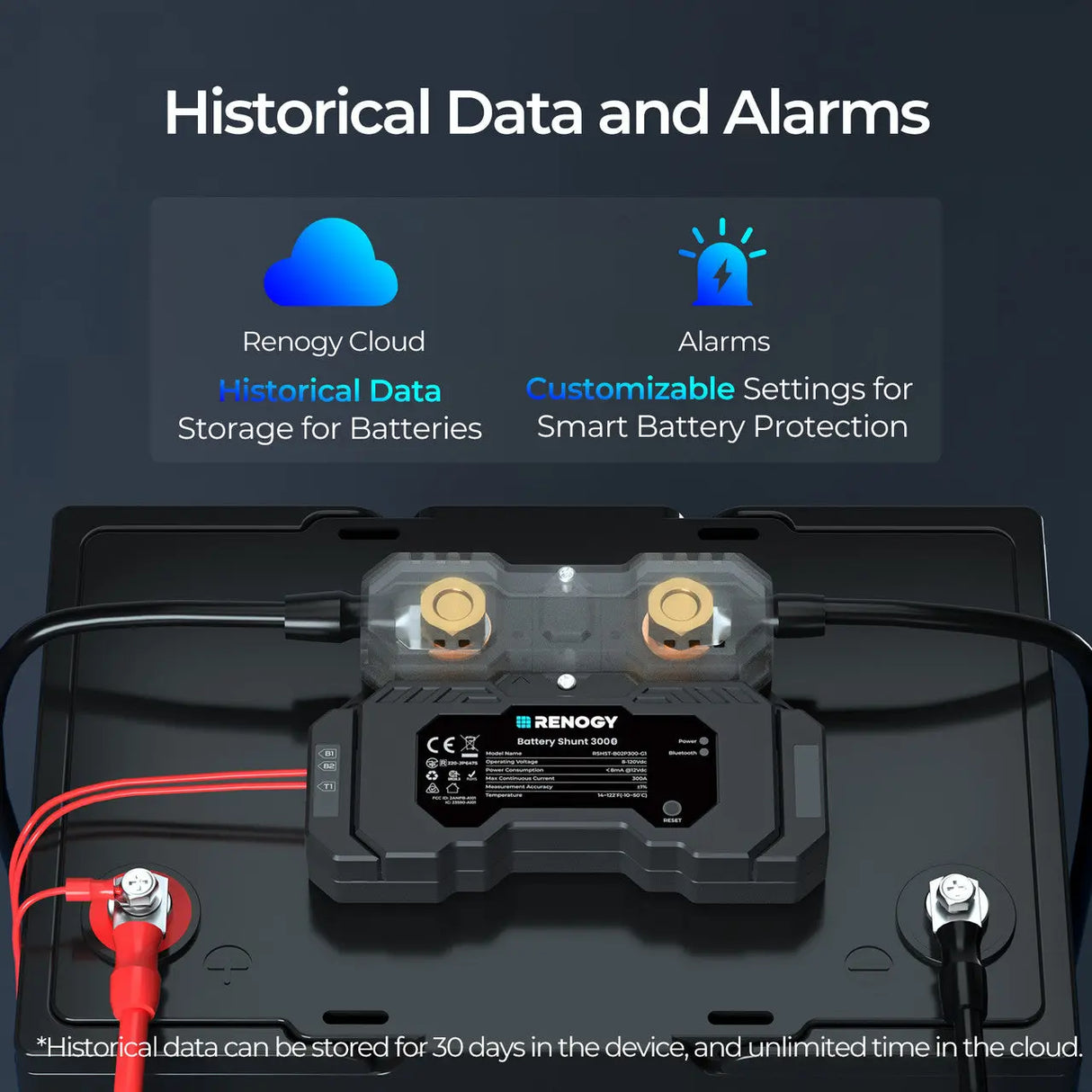 RENOGY  Battery Shunt 300 Renogy