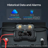 RENOGY  Battery Shunt 300 Renogy