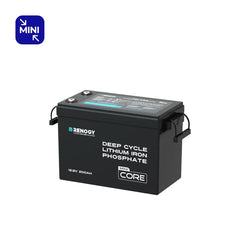 Mini Size 12V 200Ah LiFePO4 Battery w/ Low-Temperature Protection
