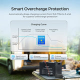 12V 20A/24V 10A AC-to-DC LFP Portable Battery Charger Renogy