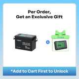 Mini Size 12V 200Ah LiFePO4 Battery w/ Low-Temperature Protection