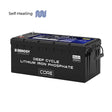 Core - 24V 100Ah Deep Cycle Lithium Iron Phosphate Battery Renogy