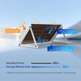 Bifacial 2PCS 450W Monocrystalline Solar Panel Renogy