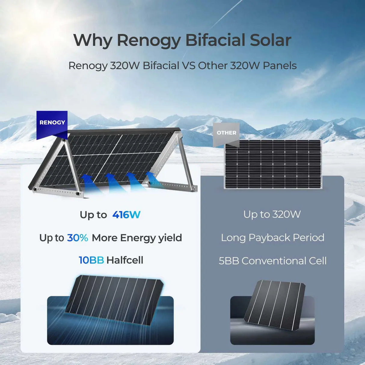 Bifacial 320W Monocrystalline Solar Panel Renogy