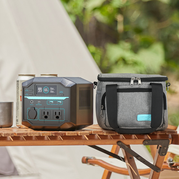 Renogy 200 Carring Bag