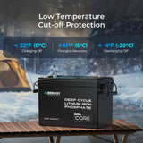 Core - 12V 200Ah LiFePO4 Battery w/ Low-Temperature Protection Renogy