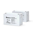 Deep Cycle AGM Battery 12 Volt 100Ah/200Ah Renogy