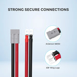 Renogy 1FT 4/0AWG Anderson Adapter Cable（Anderson SB350 - 3/8 in Lugs） Renogy