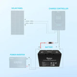 2ft ANL Fuse Cable with Double Ring Terminals for 3/8 in Lugs Renogy
