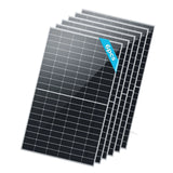 Bifacial 2PCS 450W Monocrystalline Solar Panel Renogy