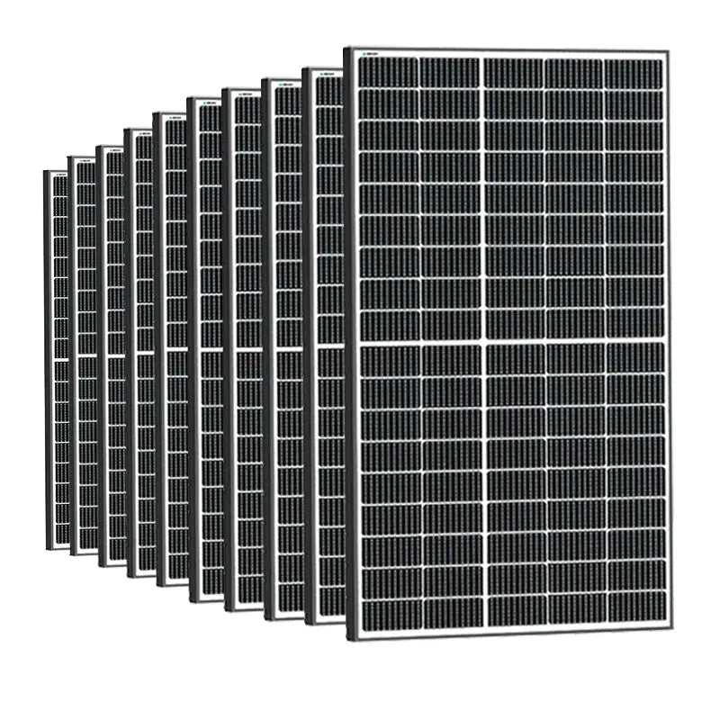 Bifacial 320W Monocrystalline Solar Panel Renogy