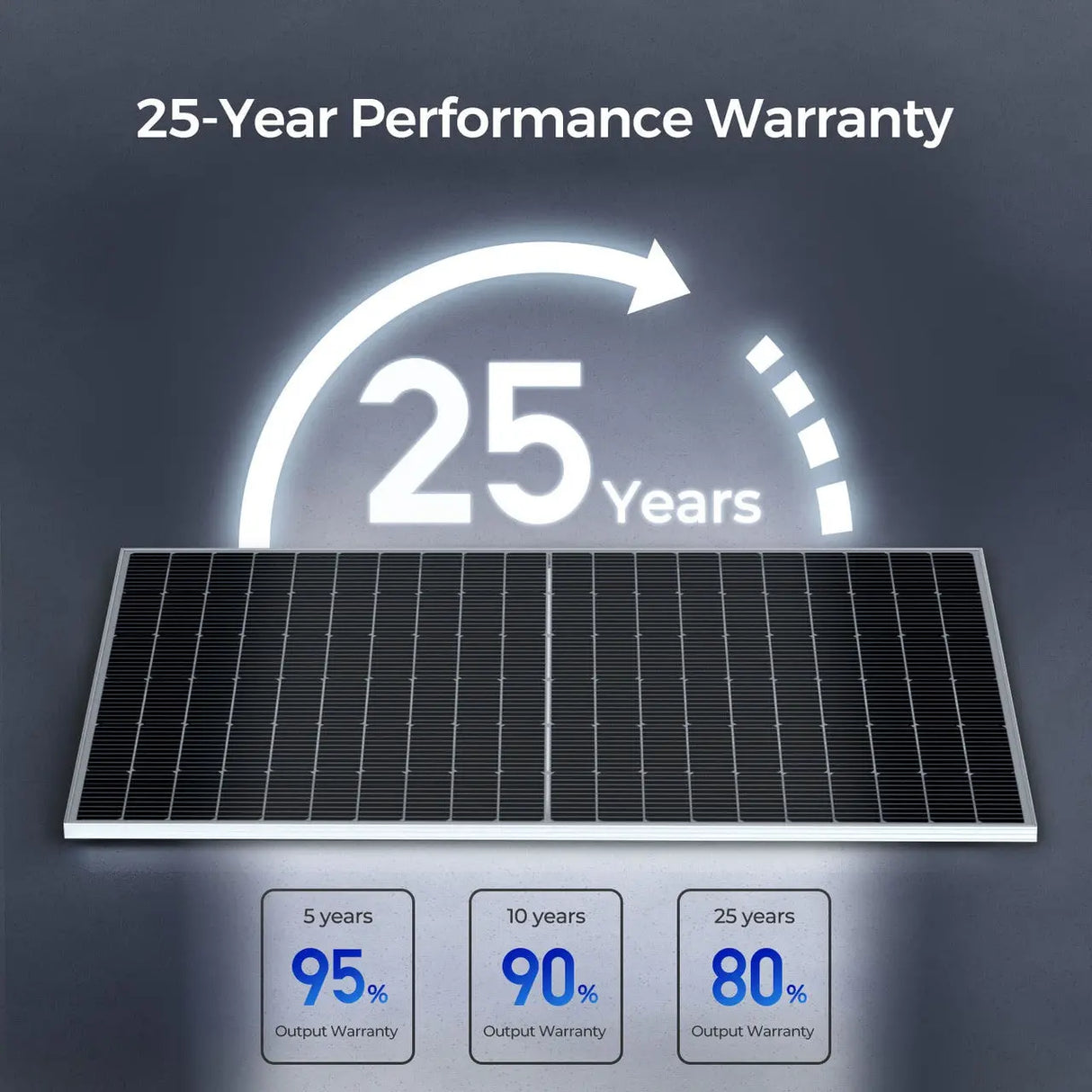 Bifacial 320W Monocrystalline Solar Panel Renogy