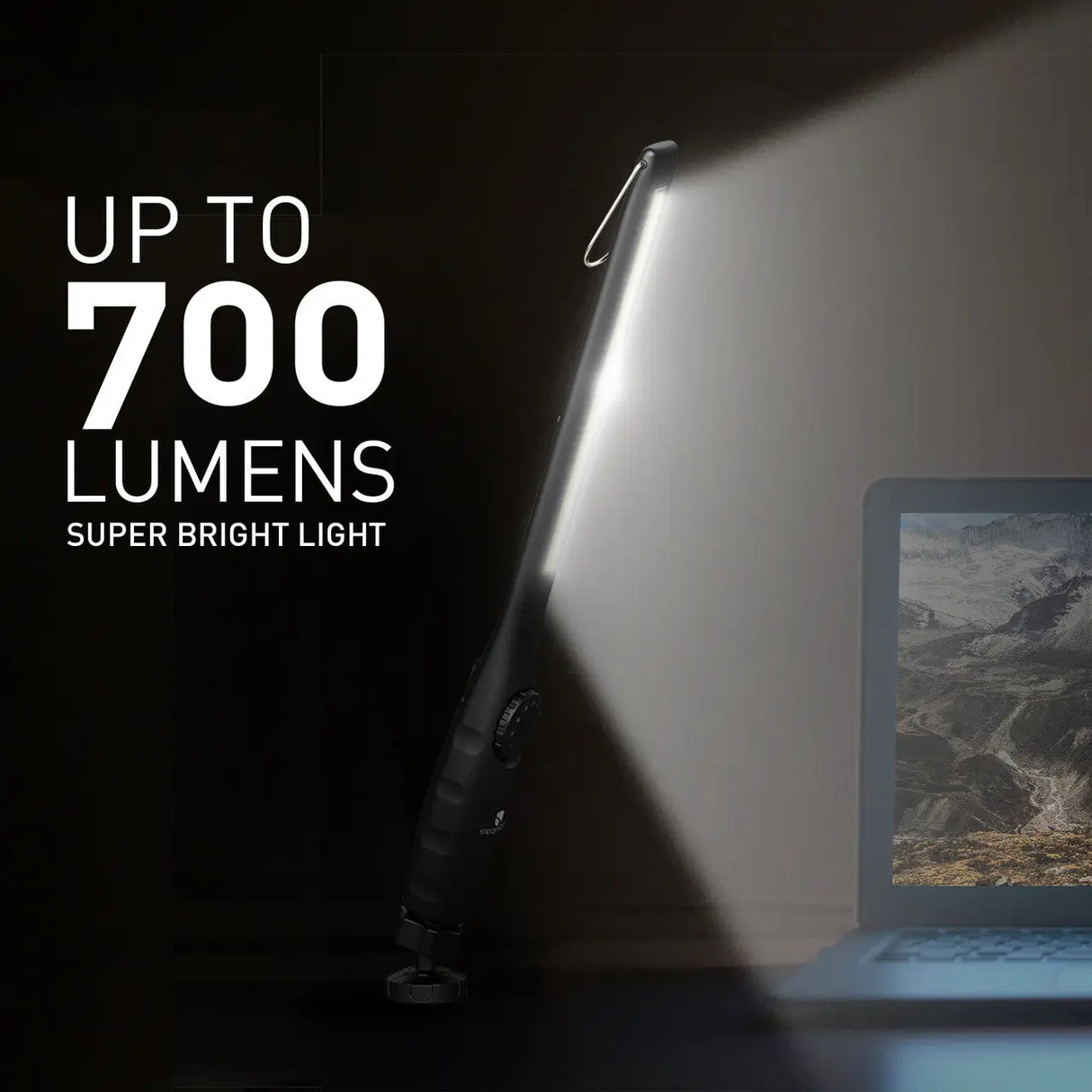 Dr. Prepare LED Work Light, 700 Lumens Rechargeable Work Light Renogy