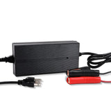 12V 20A/24V 10A AC-to-DC LFP Portable Battery Charger Renogy