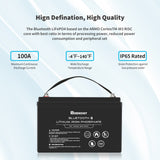 12V 100Ah Lithium Iron Phosphate Battery w/ Bluetooth