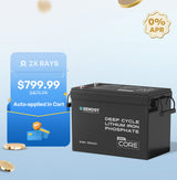 12V 300Ah LiFePO4 Battery w/ Low-Temperature Protection