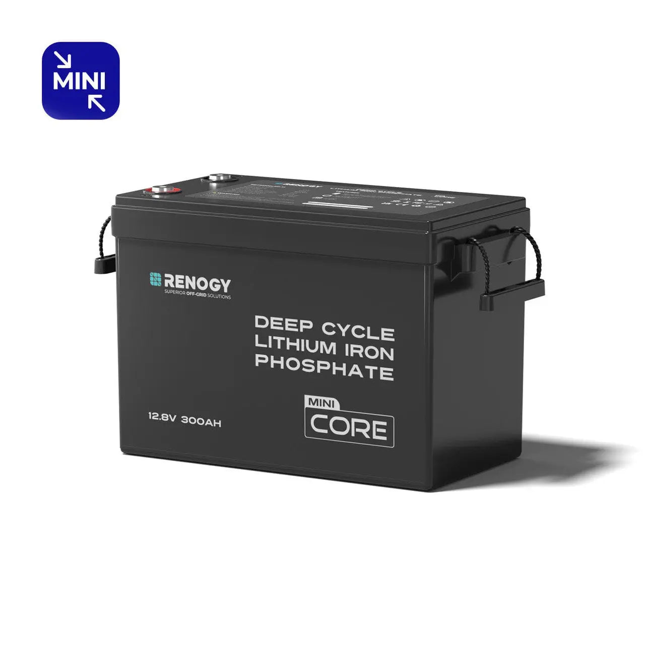 12V 300Ah LiFePO4 Battery w/ Low-Temperature Protection